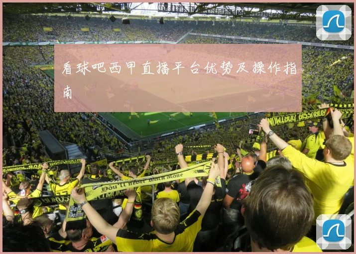 看球吧西甲直播平台优势及操作指南