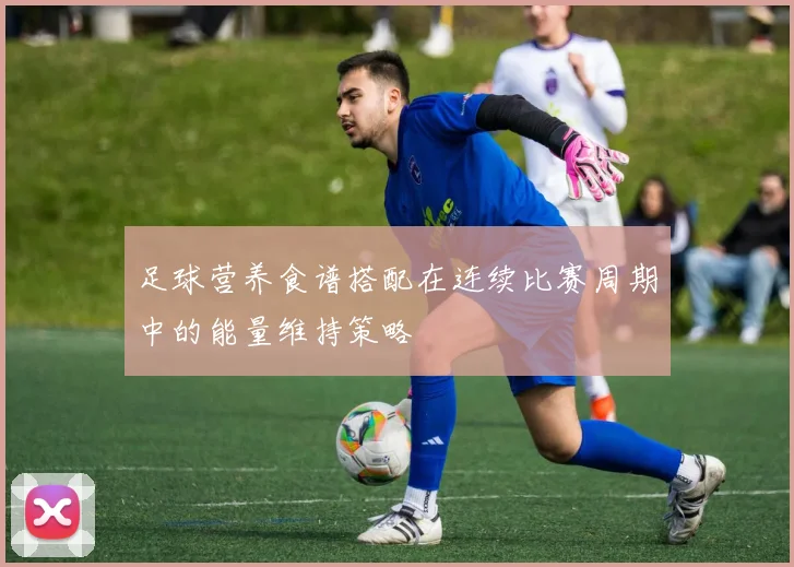 足球营养食谱搭配在连续比赛周期中的能量维持策略